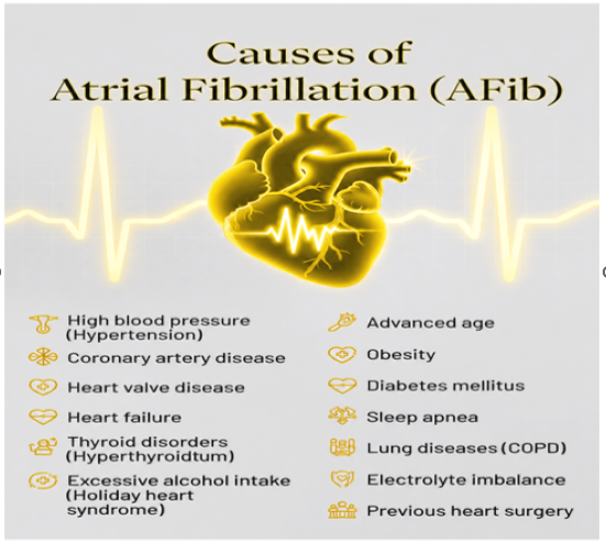 Illustration showing causes of atrial fibrillation including hypertension, heart disease, thyroid disorder, and lifestyle risk factors affecting heart rhythm